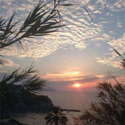 博盈娱乐app下载